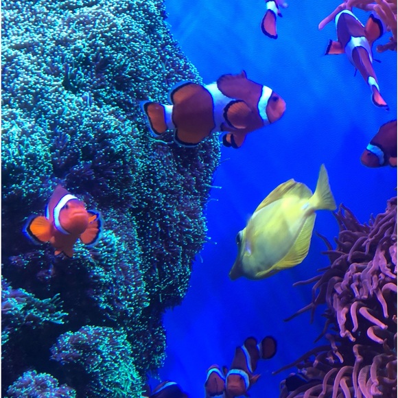 ๐๏ธ๐๐๏ธ๐๐๏ธ๐LIVE SHOW NOTIFICATION ๐ฃ๐๏ธ๐๐๏ธ - Picture 9 of 14